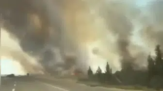 Nusaybin sınırındaki mayınlı arazide yangın paniği