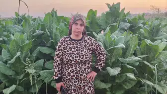 Bismil'de tarlada çalışan genç kadından acı haber geldi