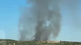 Lice'de ağaçlık alanda çıkan yangın korkuttu