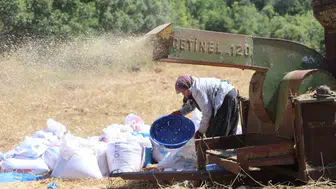 Hataylı çiftçiler 40 derecede buğday hasadıyla mücadele ediyor