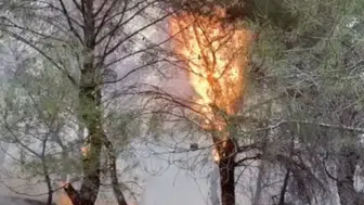 Ayvalık Çamoba’daki orman yangını başarıyla söndürüldü