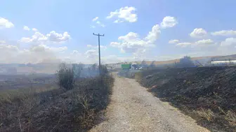 Susurluk yolunda ot yangını paniği