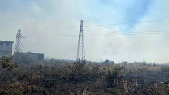 Biga’daki tarım arazisi yangını trafiği kilitledi