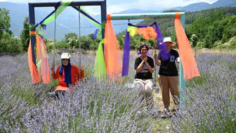 Kemer’in yaylaları lavanta kokusuna bürünüyor