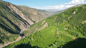 Bitlis Hizan doğa tutkunlarını sincaplarla karşılıyor