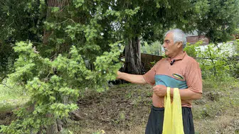 Osmaniyeli ustanın andız ağacıyla 25 yıllık sanatı