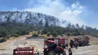Kepsut ormanlarında yangın alarmı