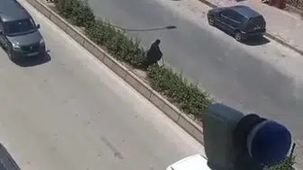 Bilecik trafiğinde bastonlu tehlike