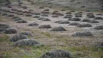 Faraşin Yaylası’nda kış hazırlıkları zirve yaptı