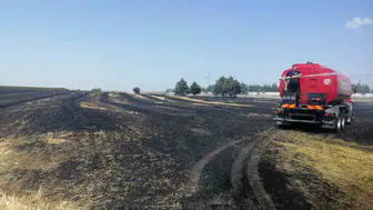 Keşan'da hasat zamanı tarlalar alevlere teslim oldu