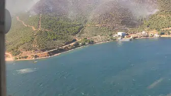 Yalova Armutlu’da orman yangını korkuttu