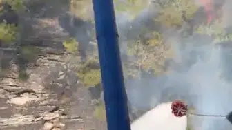Aydın Bozdoğan'da orman yangını korkuttu