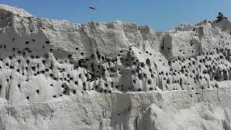 Yozgat'taki şantiye sahası kuşlar için gökdelene dönüştü