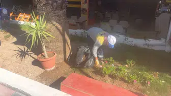 Didim çiçeklerini kendi seralarında üreterek şehri renklendiriyor
