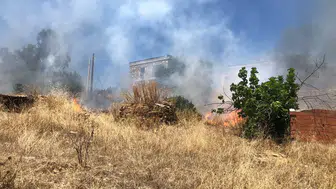 Bodrum Yalıçiftlik'te orman yangını paniği