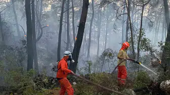 Muğla'daki orman yangınında gönüllü dayanışması