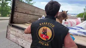 Taşköprü’de polis denetimi Ruhsatsız silahlara el konuldu