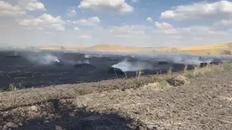 Yozgat'ta hasat vakti büyük yangın paniği