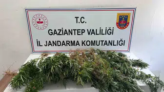 Gaziantep'te uyuşturucu operasyonu 8 kişi yakalandı