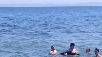 Şarköy sahilinde tatilcilerin yeni arkadaşı yavru bir yunus oldu