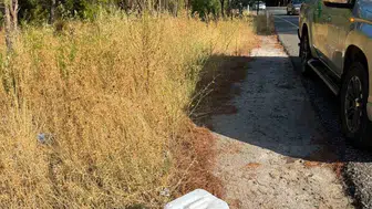 Marmaris ormanları için yollara su bidonu yerleştirildi
