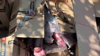 Alanya'da sağlıksız 300 kilo ete zabıta baskını