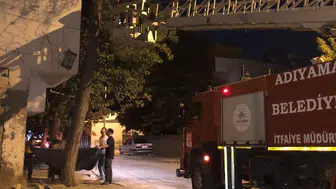 Adıyaman'da kedinin ağaç macerası ekipleri harekete geçirdi