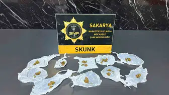 Serdivan merkezli uyuşturucu baskınında bir kişi tutuklandı