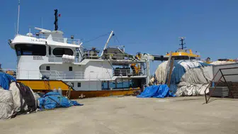 Karadenizli balıkçılardan palamut beklentisi