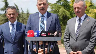 Sokak hayvanlarının yüzde 92'si barınaklara yerleştirildi