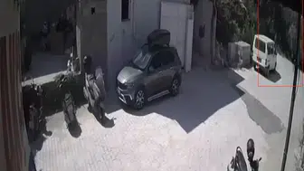 Hatay'da 16 yıllık ağaç park halindeki kamyoneti hurdaya çevirdi