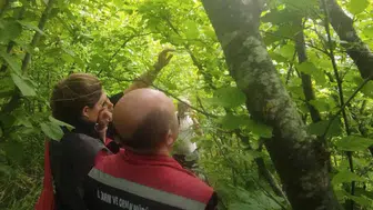 Sinop’ta tarlalara samuray arısı salındı