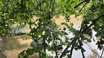 Kastamonu’da sel felaketi arıcıları vurdu