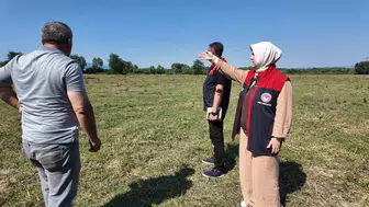 Düzce’de mera verimi iki katına çıktı