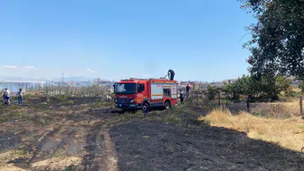 Manisa Alaşehir’de ot yangını paniği