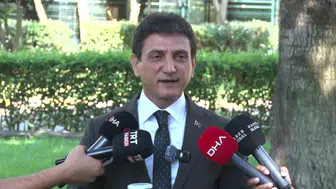 İstanbul’da çekirge istilası var mı? Yetkililerden net yanıt geldi?
