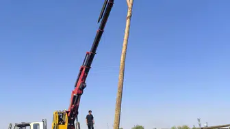 Şanlıurfa’da yakılan anızlar elektrik şebekesini harabeye çevirdi