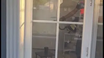 Düzce'de evine yılan giren aile büyük panik yaşadı