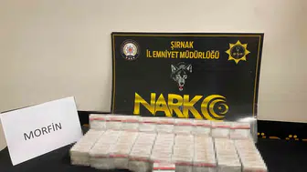 Şırnak polisinden kaçakçılara büyük darbe