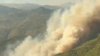 Muğla Seydikemer ormanlarında sabah saatlerinde yangın çıktı