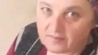 Zonguldak'ta fındık bahçesindeki arı saldırısı bir can aldı