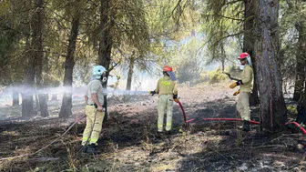 Osmaniye Yarpuz’da orman yangını paniği