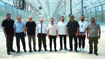 Tokat patates tohumunda yerli üretime geçiyor