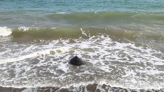 Mersin ve Göksu artık uydudan takip edilecek
