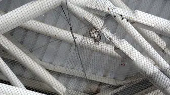 Antalya Nekropol Müzesi'ndeki kuş ölümleri için çözüm bulundu