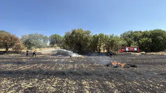 Karabük'te tarlada çıkan yangın 25 dönümü küle çevirdi