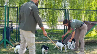 Sınırların yeni dedektör köpekleri eğitimlere başladı