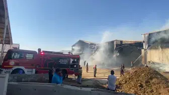 Şanlıurfa'da büyük besi çiftliğinde yangın paniği