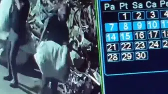Adana'da geri dönüşüm tesisini soyan hırsızlar kameraya yakalandı