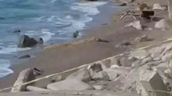 Filyos sahilinde esrarengiz İHA paniği